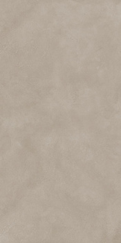 Light Grey 60 x 120 cm