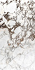 Brèche Capraia 160 x 320 cm