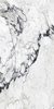 Calacatta Altissimo Blanc 160 x 320 cm