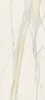 Calacatta Gold 120 x 280 cm