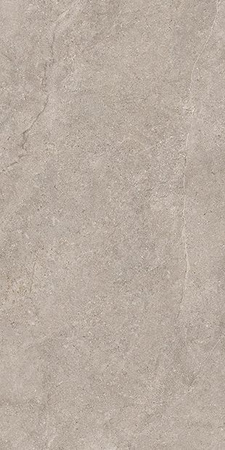 Light Grey 60 x 120 cm