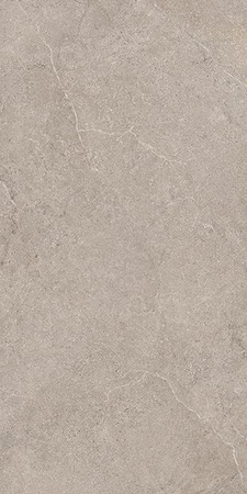 Light Grey 60 x 120 cm