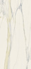Calacatta Gold 120 x 280 cm